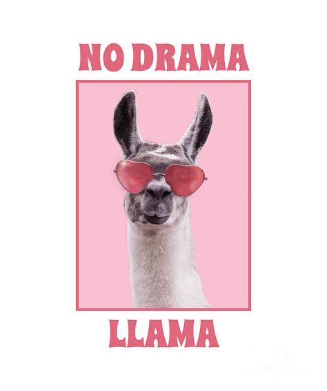 Don't be a drama llama, be a chill chinchilla!